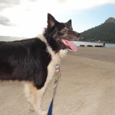 Luca