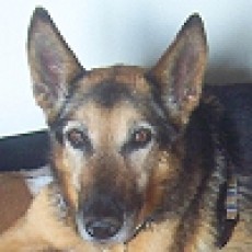 Selma